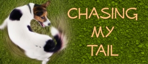 Chasing My Tail: My Tale of Chasing Abigail Wallis